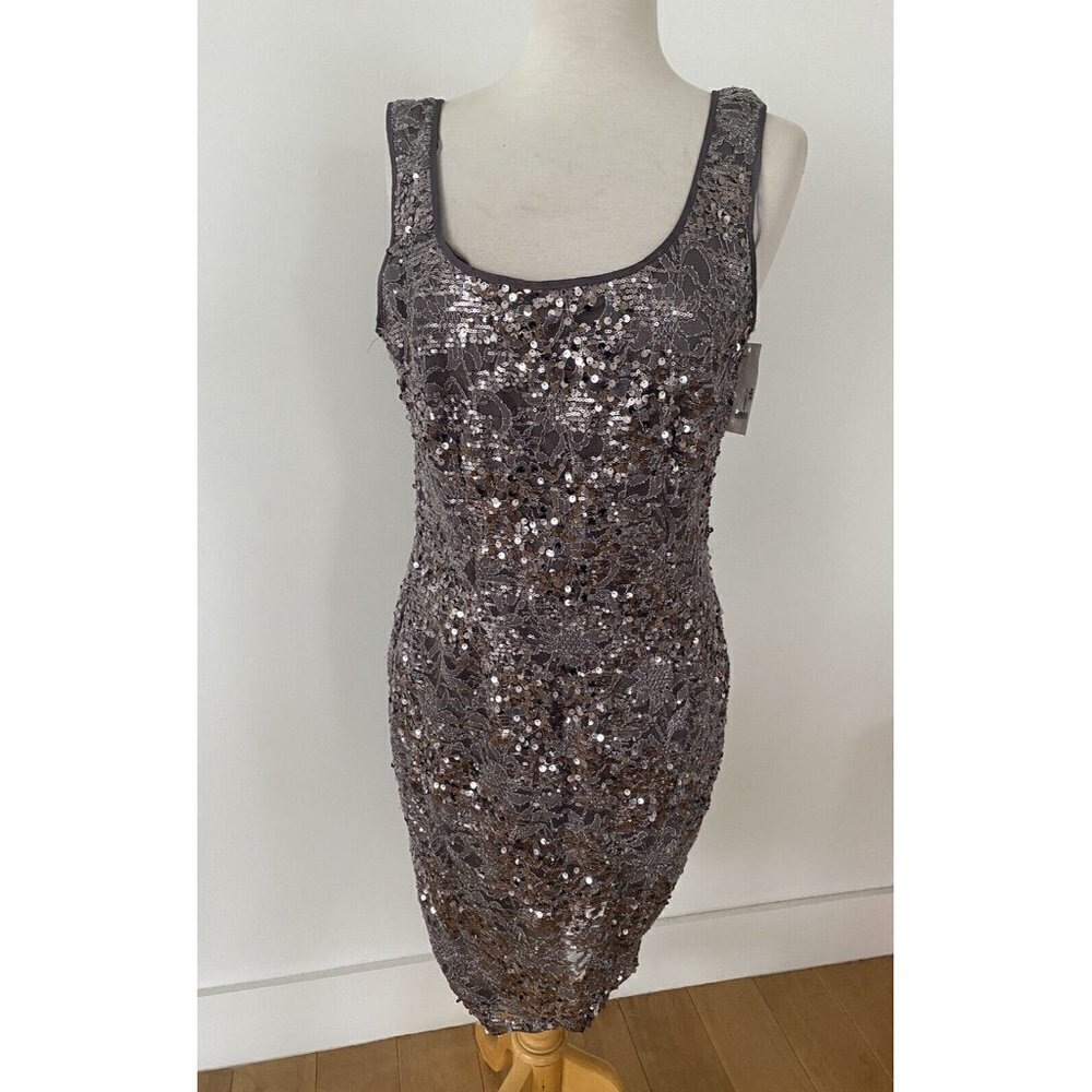 Alex Evenings Women’s Silver Sequined Lace Sleeveless Dress Size 12